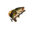 Bass Fishing Obsessed