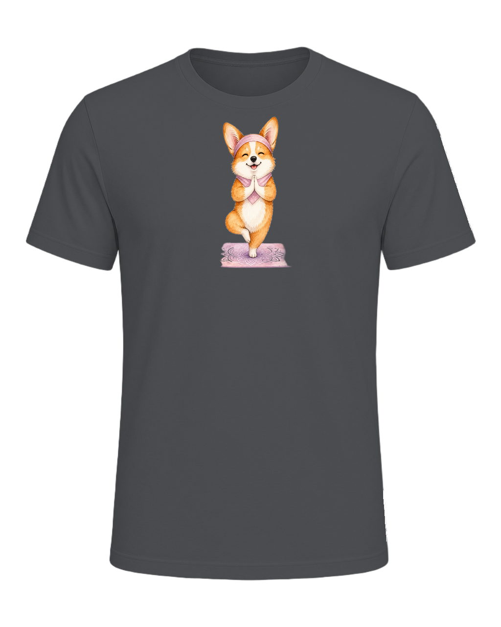 Corgi + Yoga — Asphalt