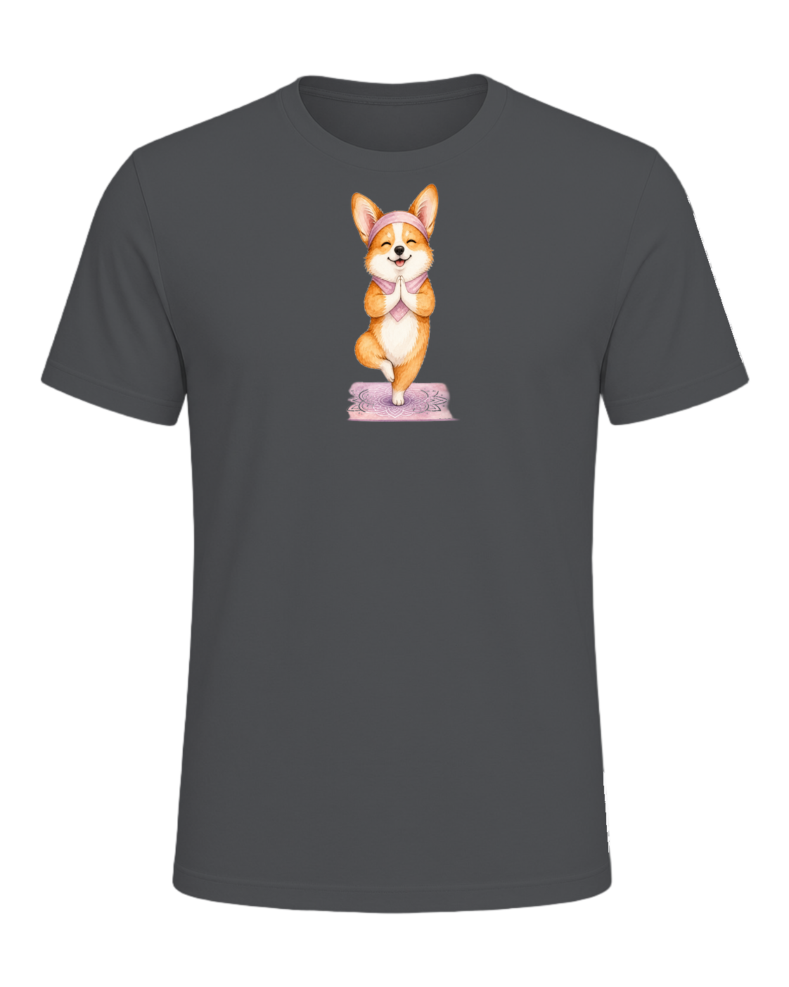 Corgi + Yoga — Asphalt