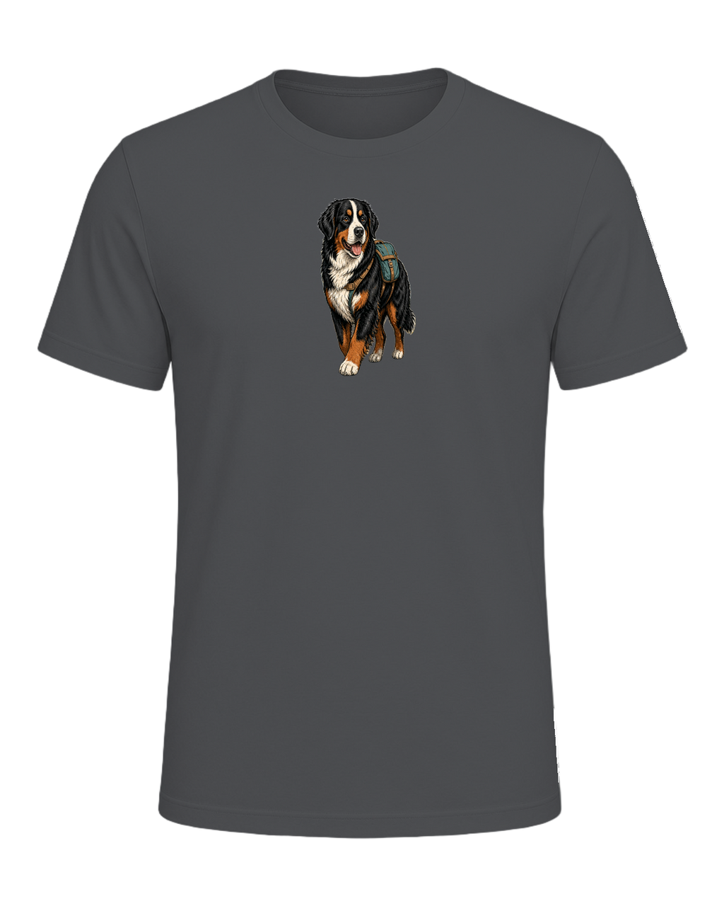 Bernese Mountain Dog Hiking — Asphalt