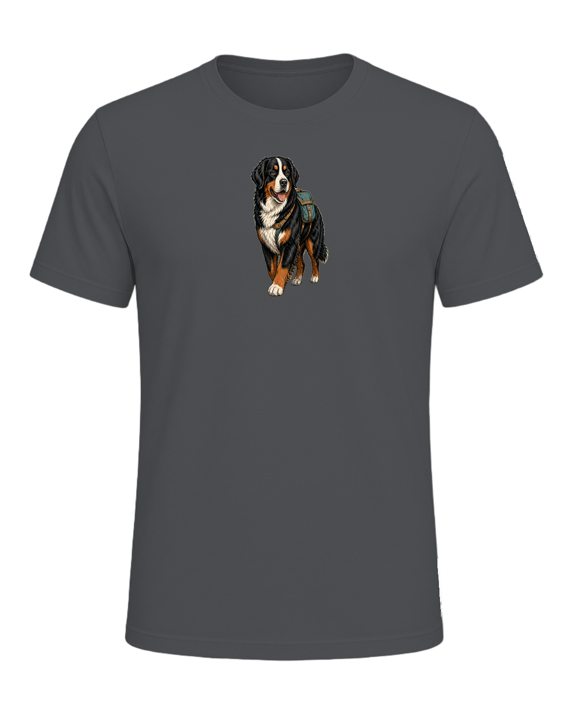 Bernese Mountain Dog Hiking — Asphalt