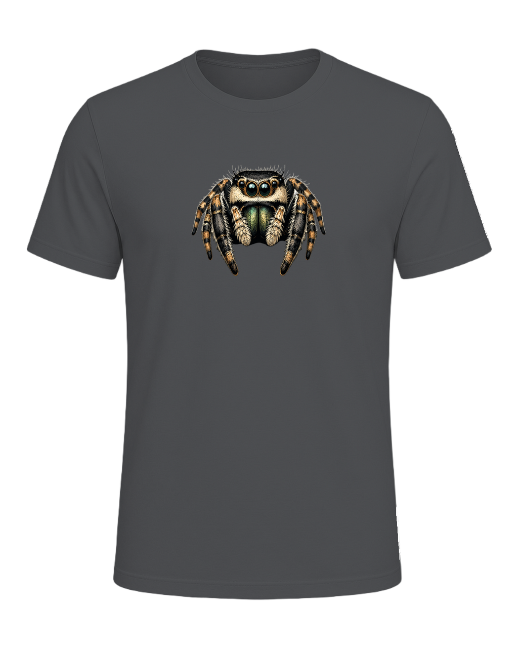 Jumping Spider Close-up Art — Asphalt