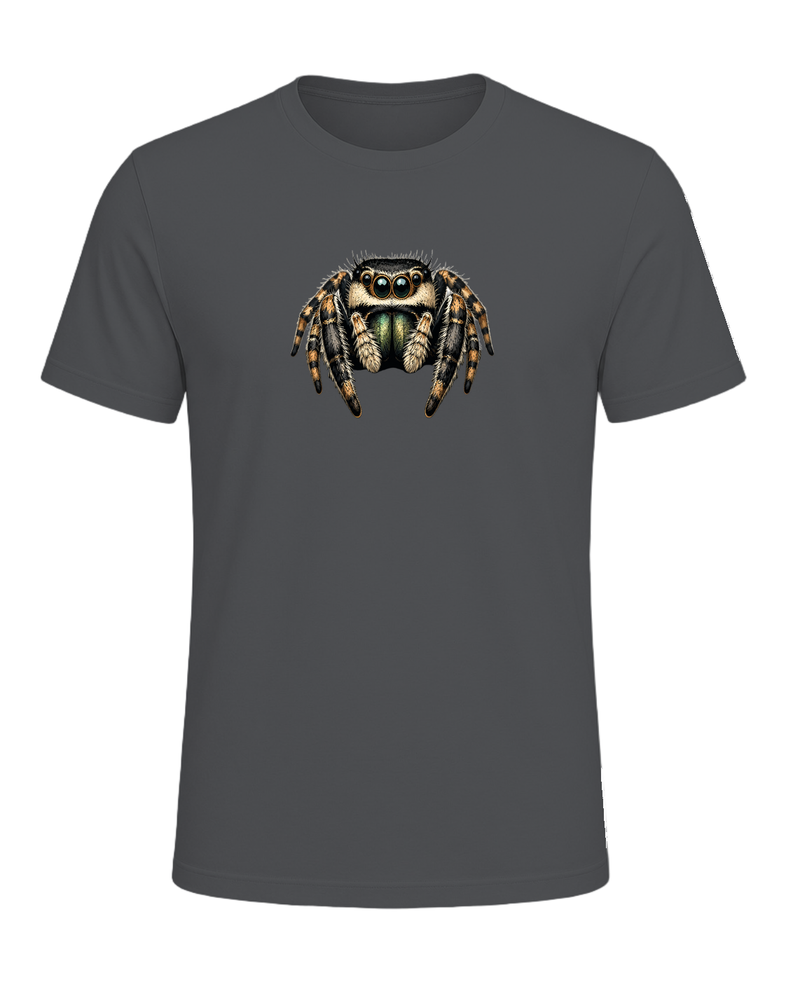 Jumping Spider Close-up Art — Asphalt