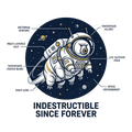 Tardigrade Space Explorer