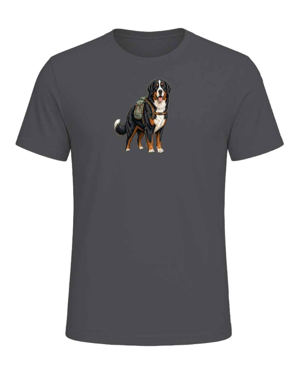 Bernese Mountain Dog Hiking — Asphalt