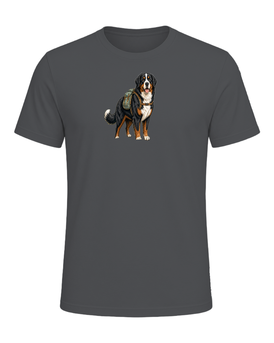 Bernese Mountain Dog Hiking — Asphalt