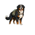 Bernese Mountain Dog Hiking
