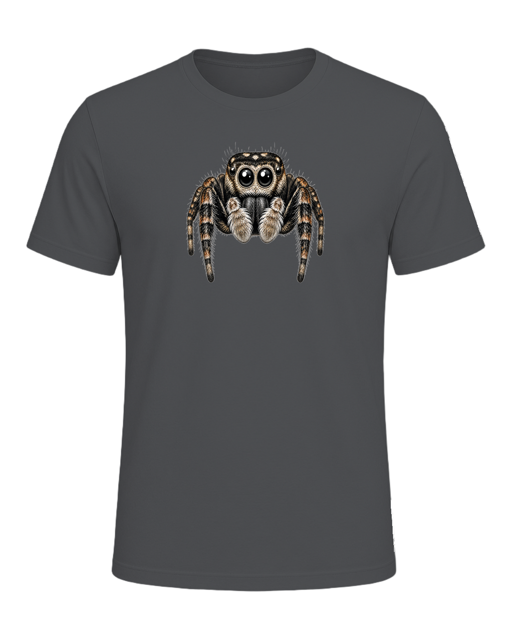Jumping Spider Close-up Art — Asphalt