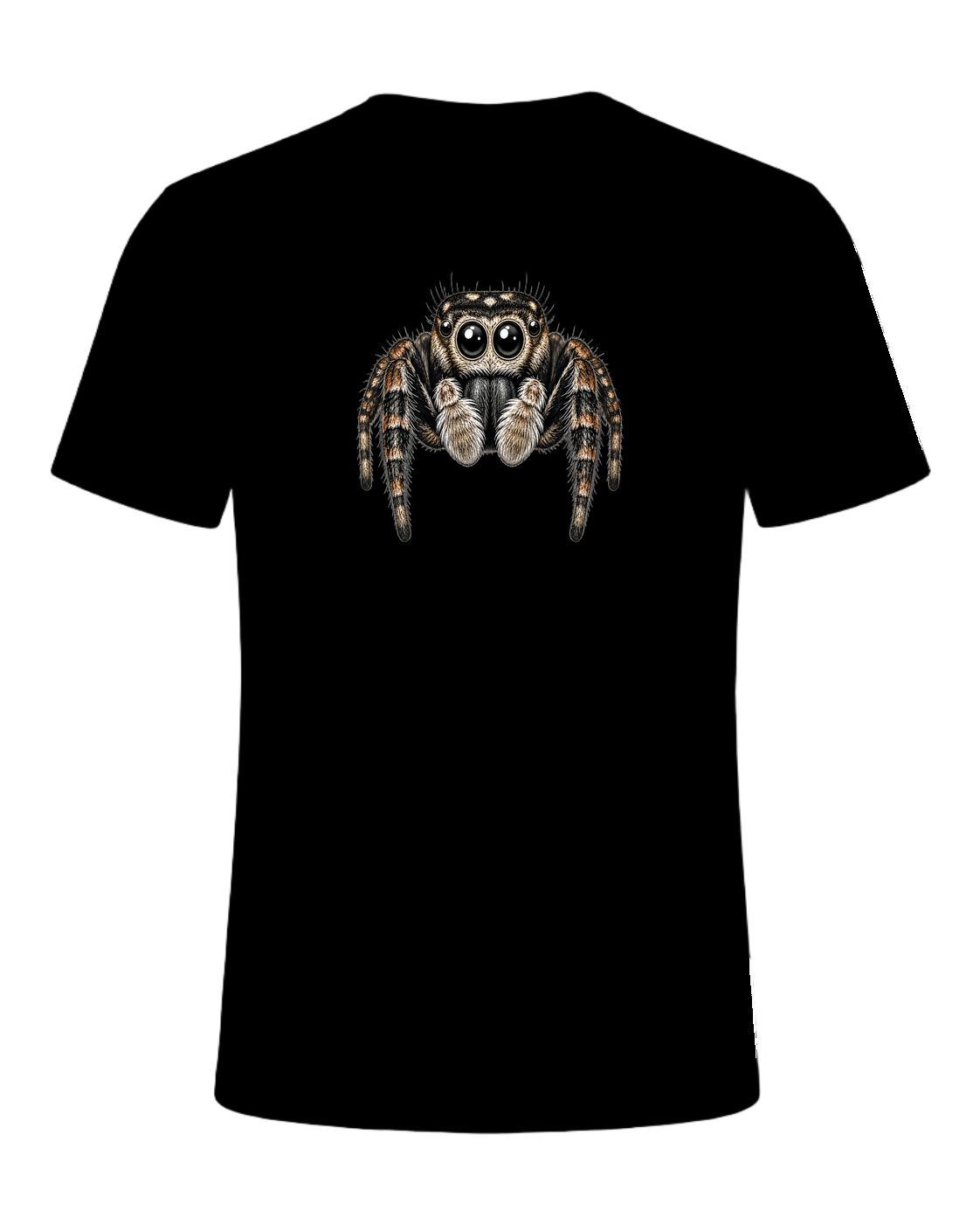 Jumping Spider Close-up Art — Black