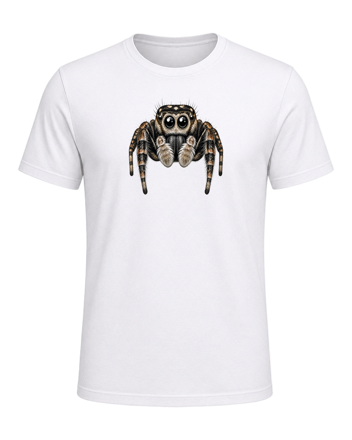 Jumping Spider Close-up Art — White