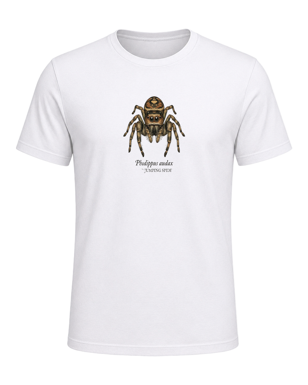 Jumping Spider Close-up Art — White