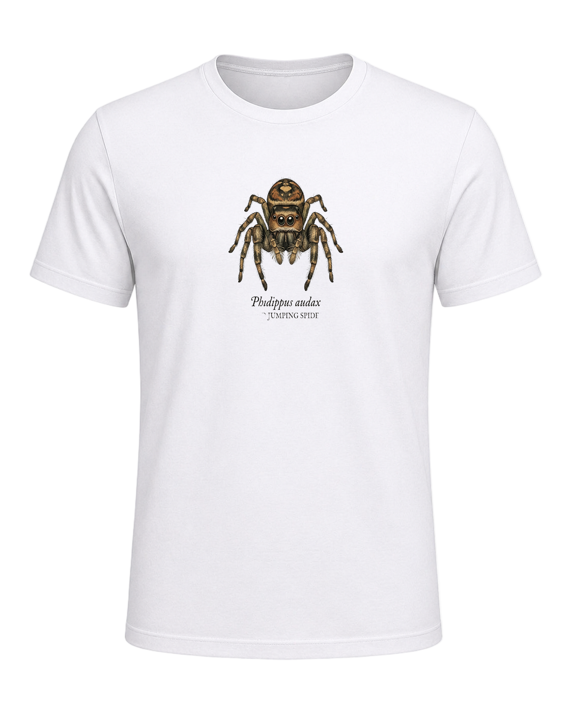 Jumping Spider Close-up Art — White