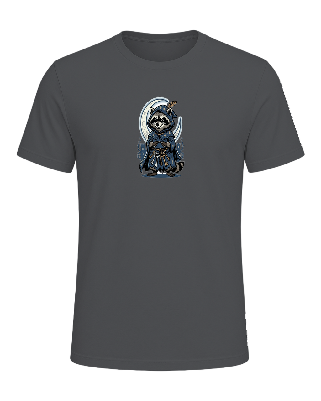 Raccoon Wizard Energy — Asphalt