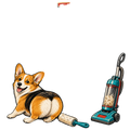 I Vacuum More Than I Sleep