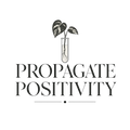 PROPAGATE POSITIVITY