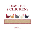 Chicken Math (Backyard Farmer)