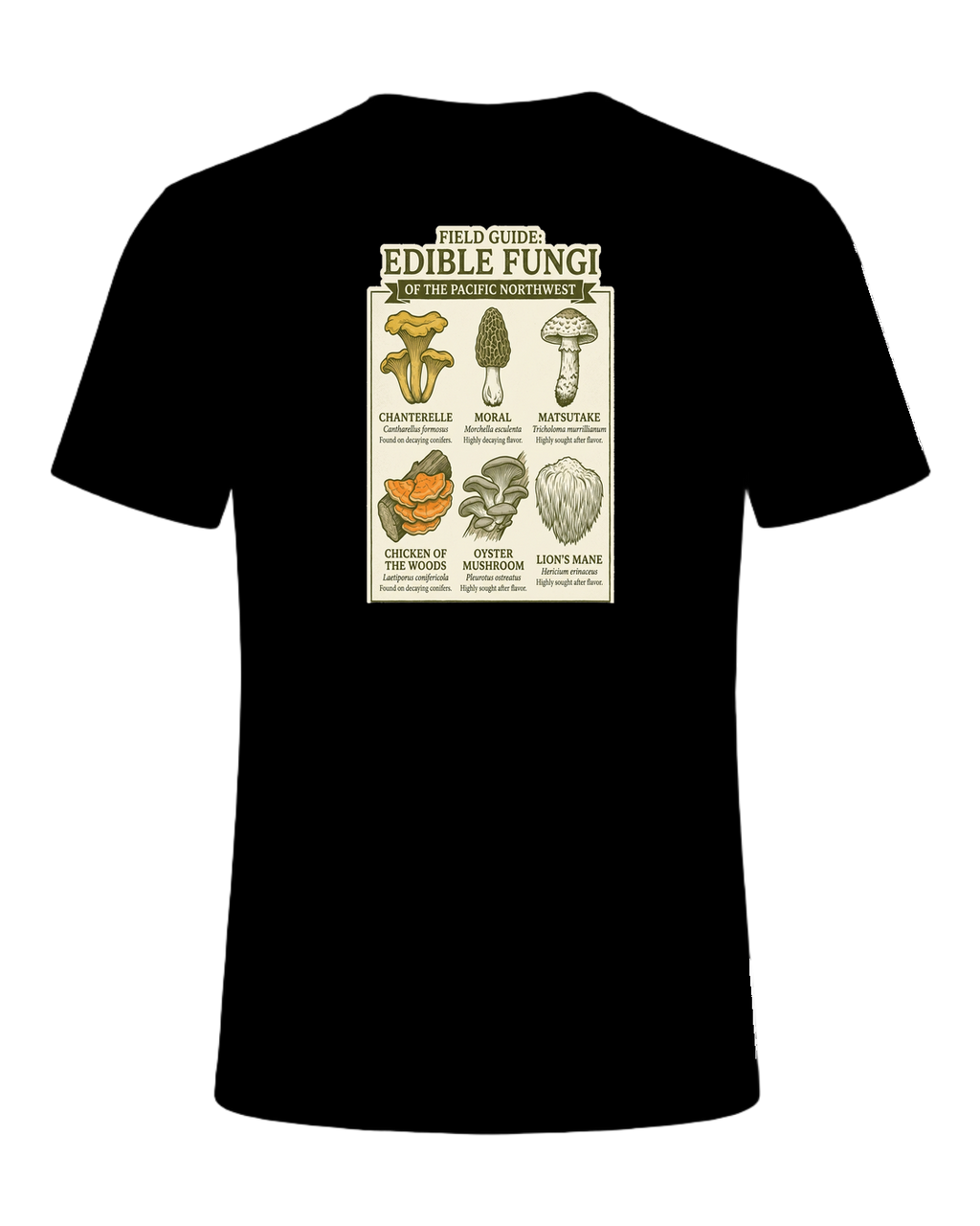 Foraging / Mushroom Hunter — Black