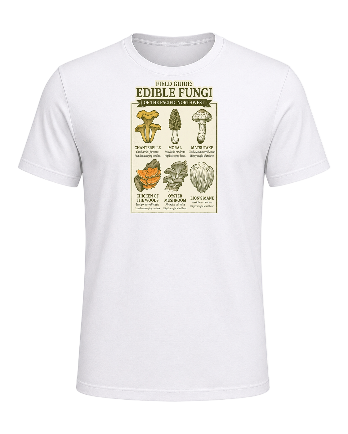 Foraging / Mushroom Hunter — White