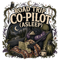 ROAD TRIP CO-PILOT (ASLEEP)