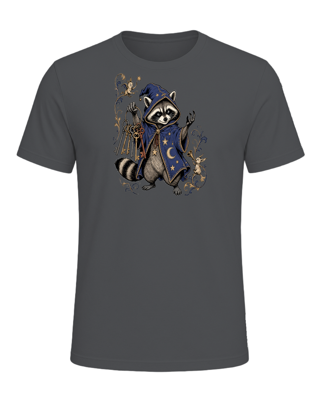 Raccoon Wizard Energy — Asphalt