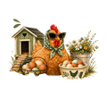 Eggs Are a Lifestyle Now