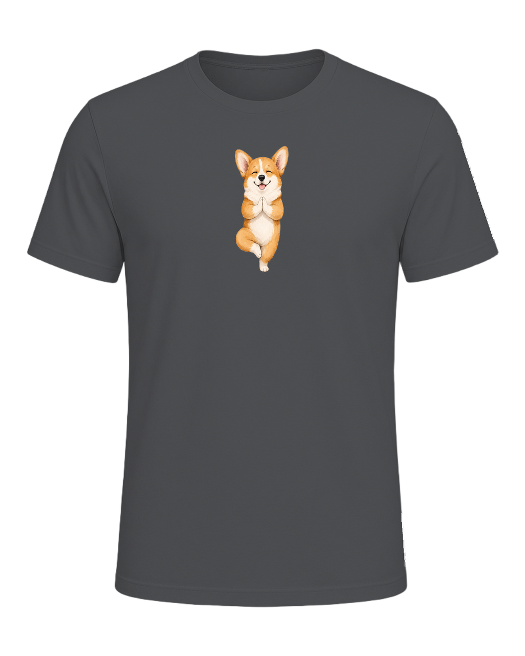Corgi + Yoga — Asphalt