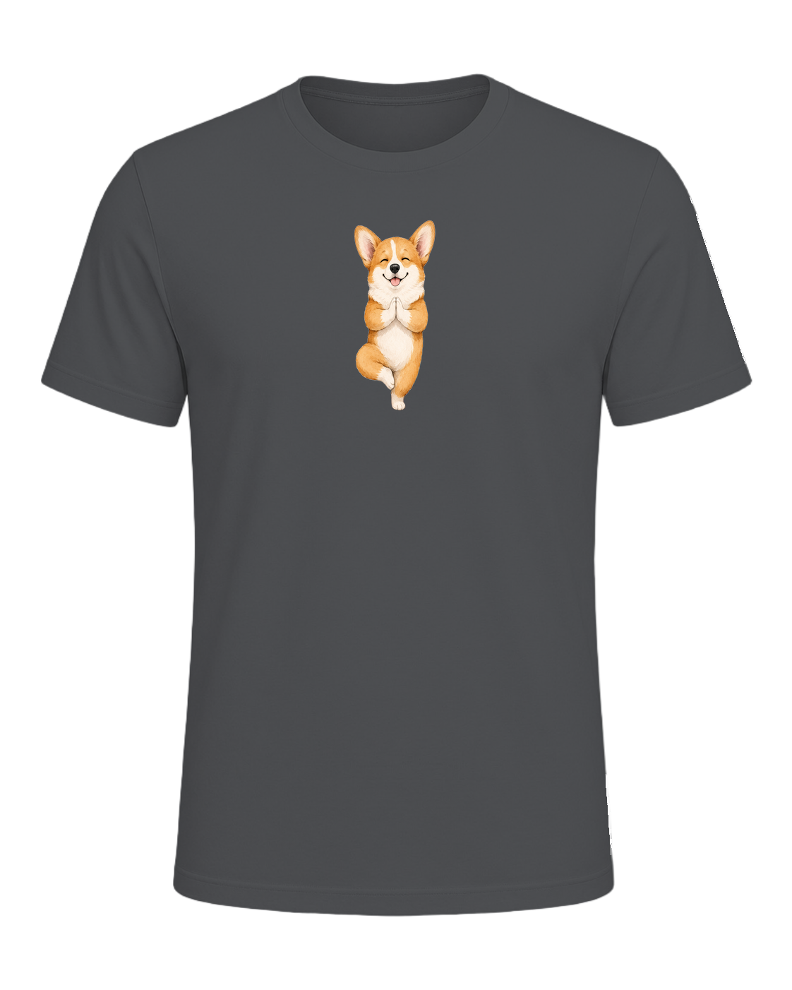 Corgi + Yoga — Asphalt