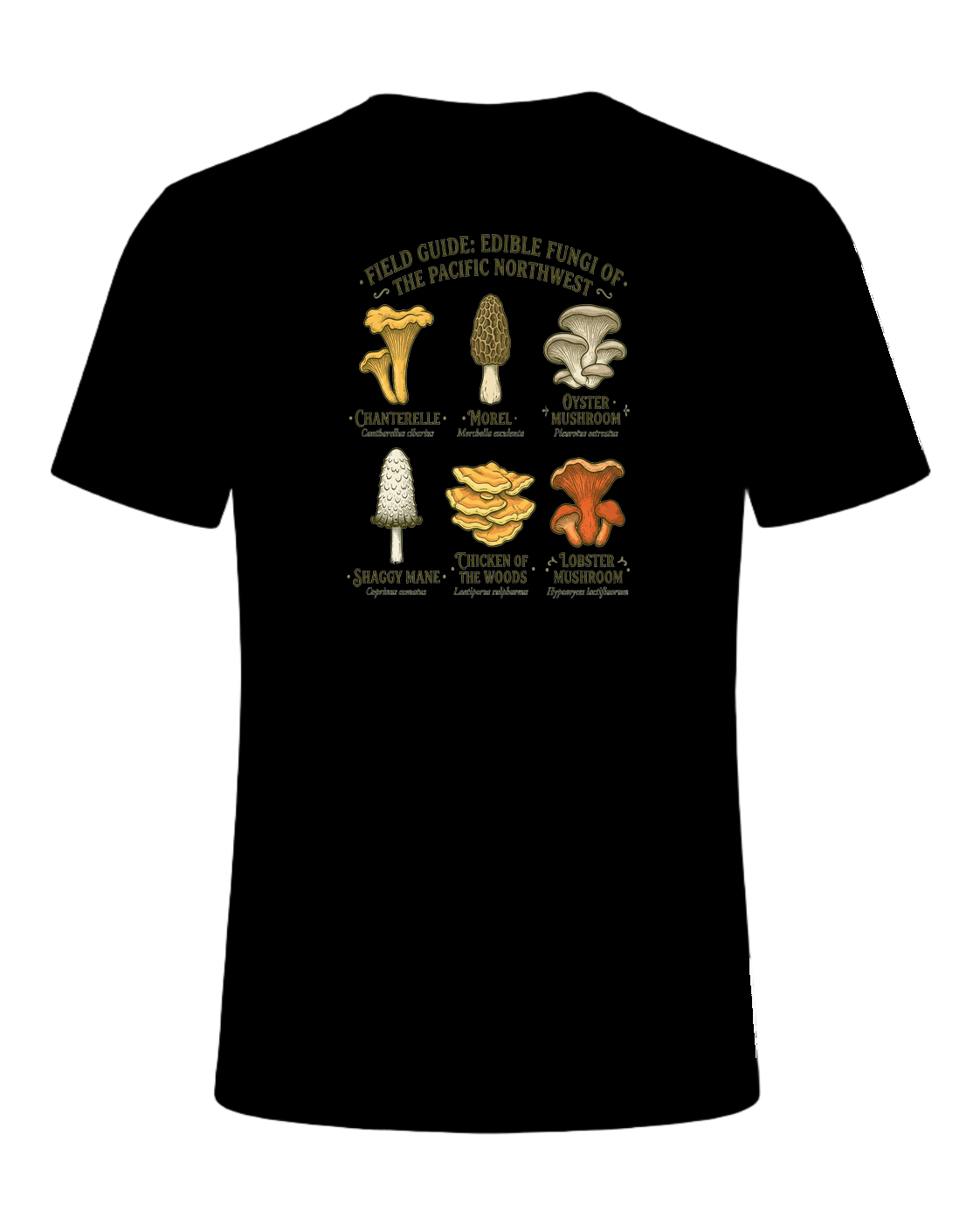Foraging / Mushroom Hunter — Black