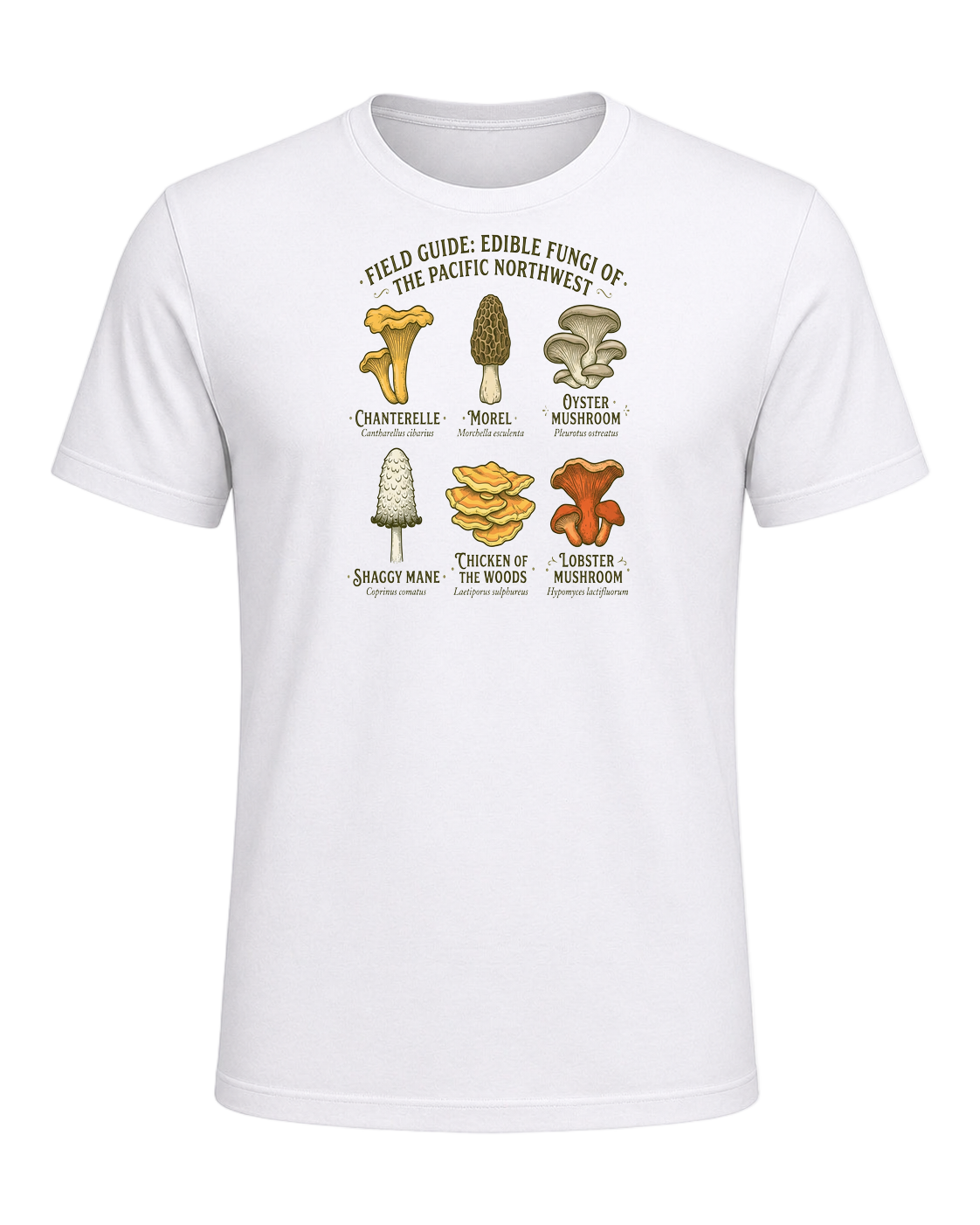 Foraging / Mushroom Hunter — White