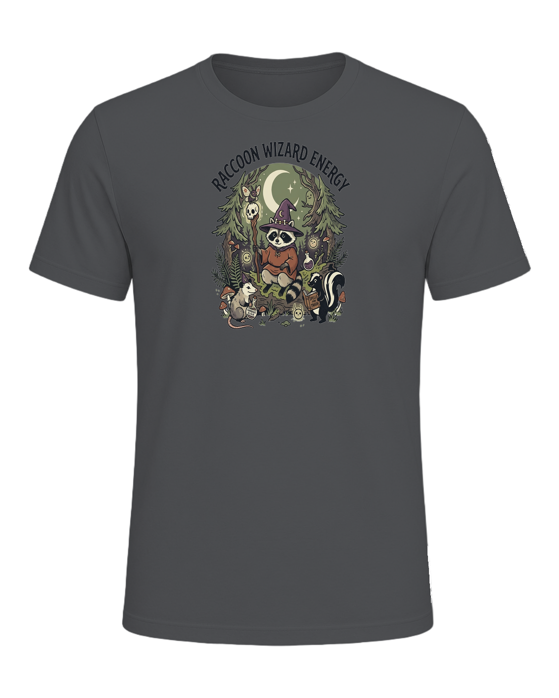RACCOON WIZARD ENERGY — Asphalt