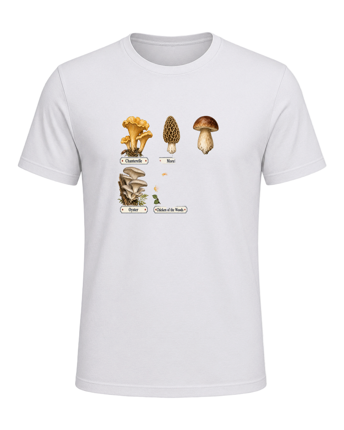 Foraging / Mushroom Hunter — Ash