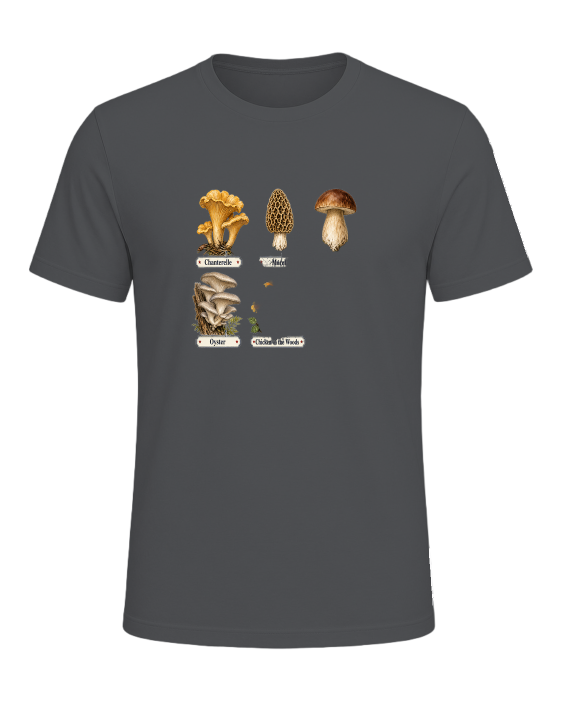 Foraging / Mushroom Hunter — Asphalt