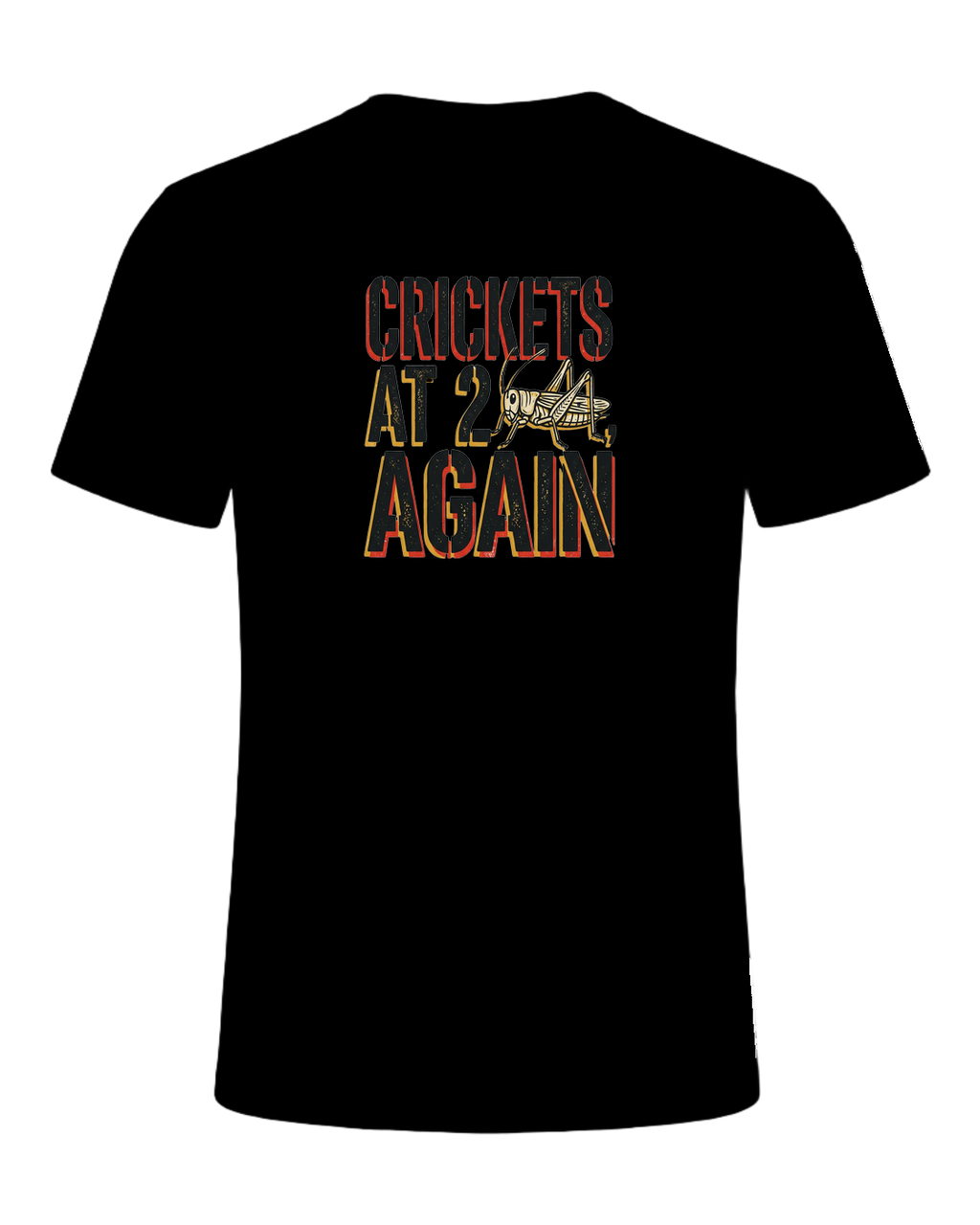 CRICKETS AT 2AM, AGAIN — Black