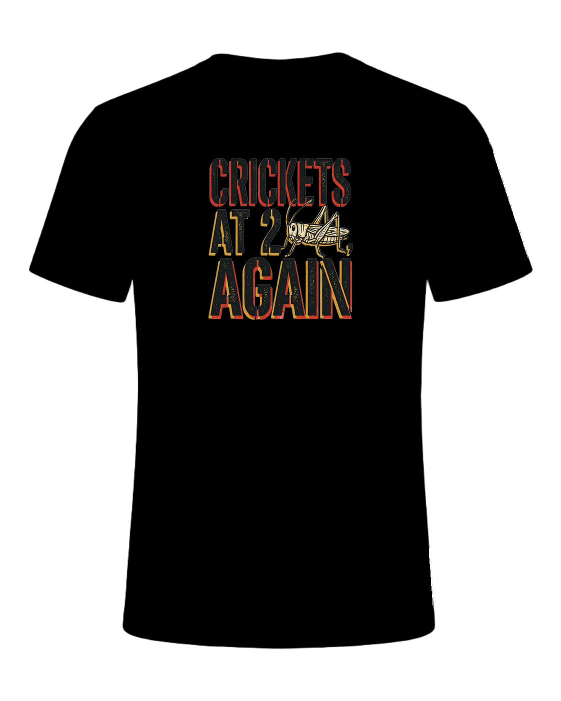 CRICKETS AT 2AM, AGAIN — Black