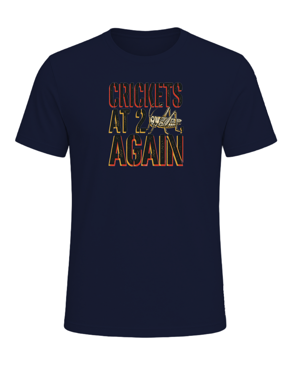 CRICKETS AT 2AM, AGAIN — Navy