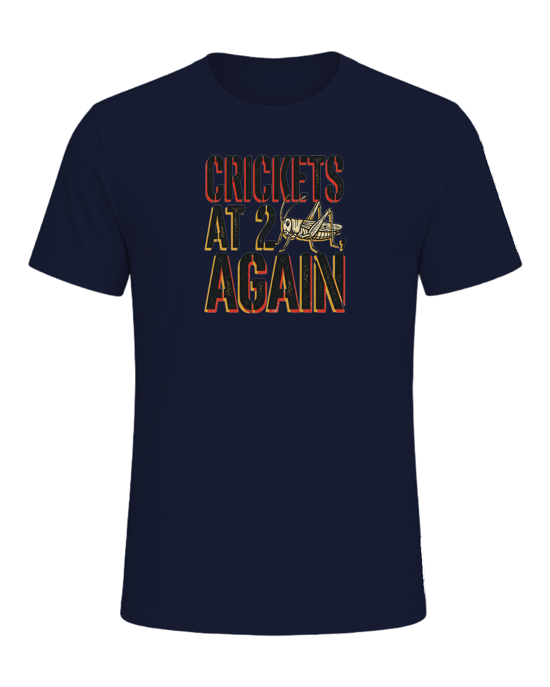 CRICKETS AT 2AM, AGAIN — Navy
