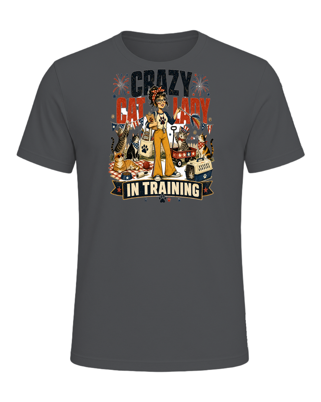 CRAZY CAT LADY IN TRAINING — Asphalt
