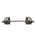 ONE MORE REP WON'T KILL ME