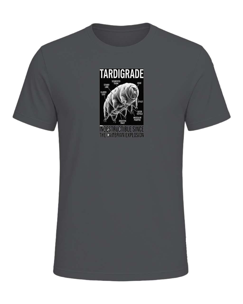 Tardigrade Science Nerd — Asphalt