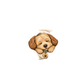 SORRY I'M LATE MY DOG LOOKED COZY