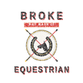 Broke But Make It Equestrian