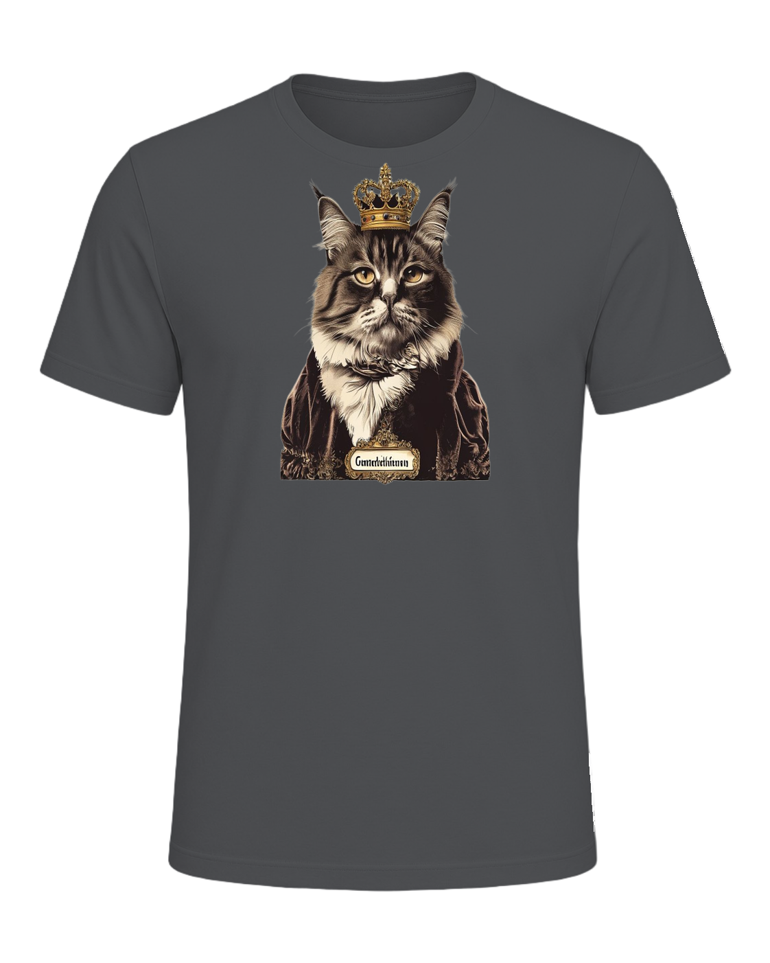 Maine Coon Royalty — Asphalt