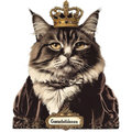 Maine Coon Royalty