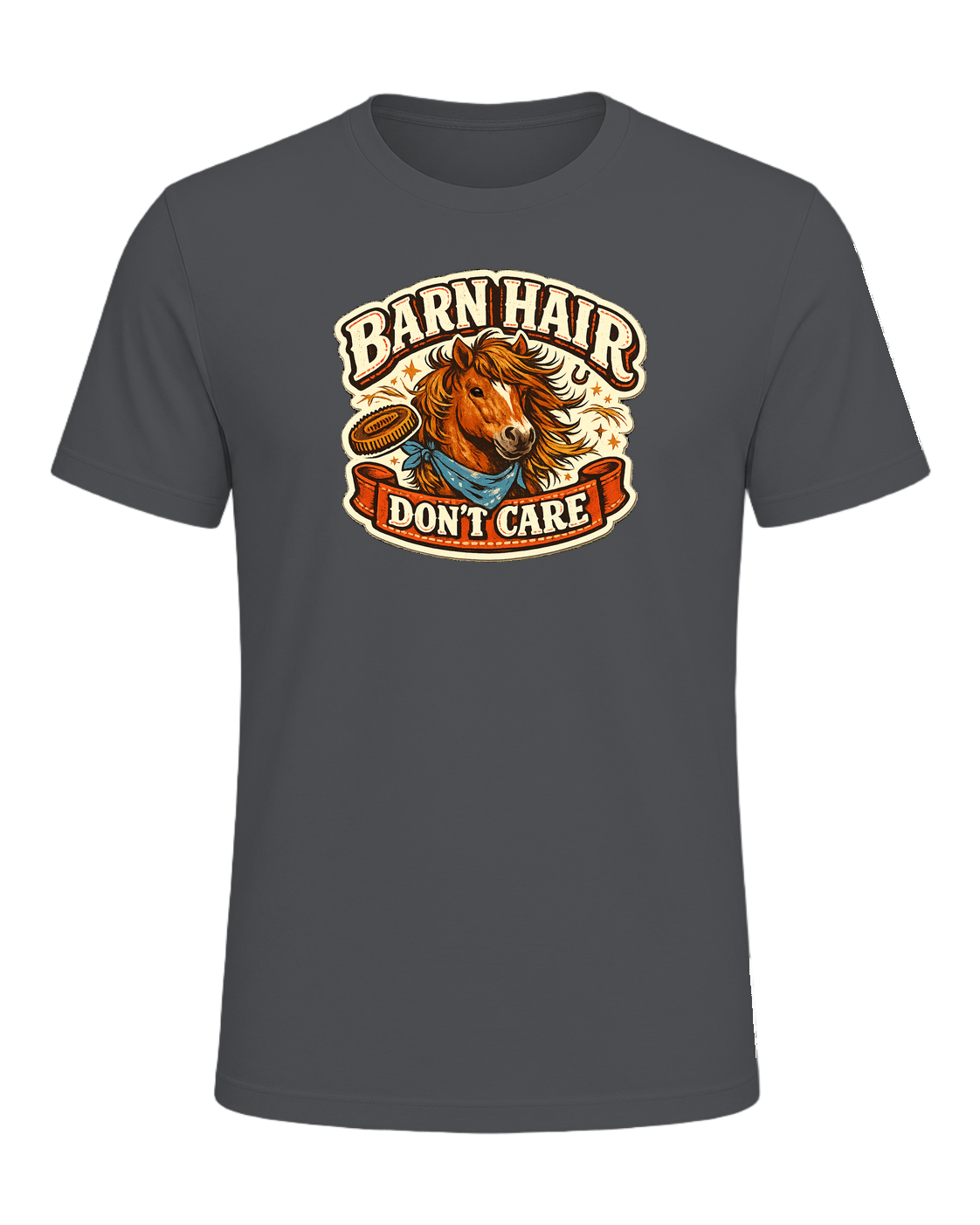 Barn Hair Don't Care Tee — Asphalt