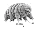 Tardigrade Science Nerd