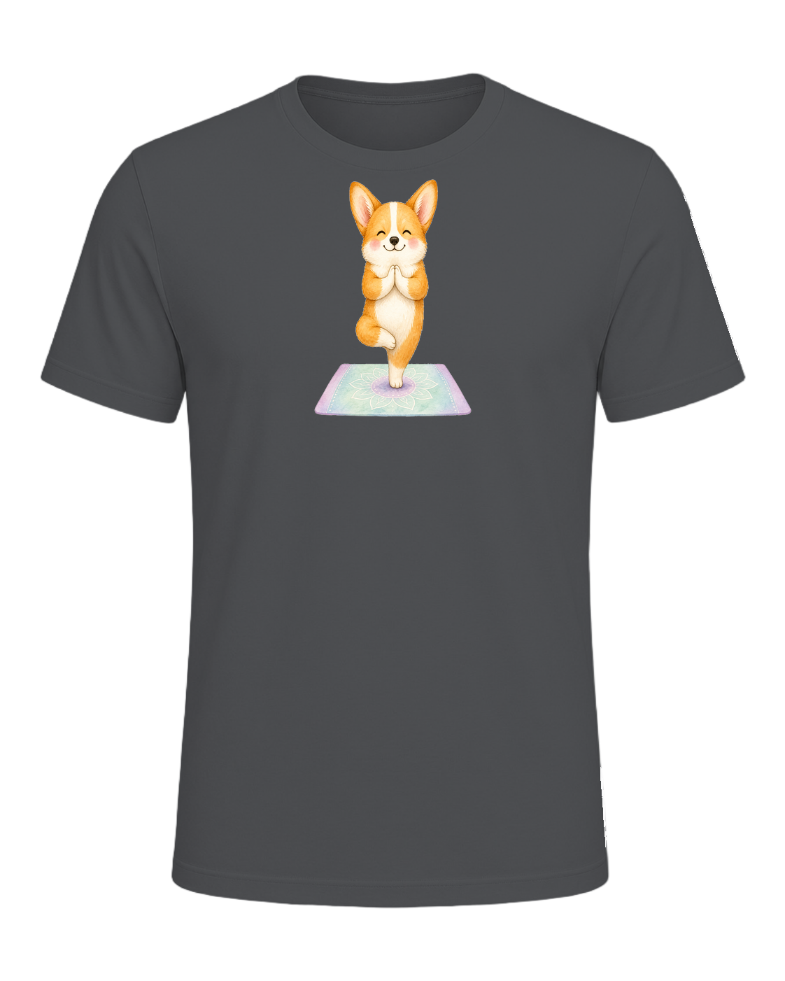 Corgi + Yoga — Asphalt
