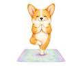 Corgi + Yoga
