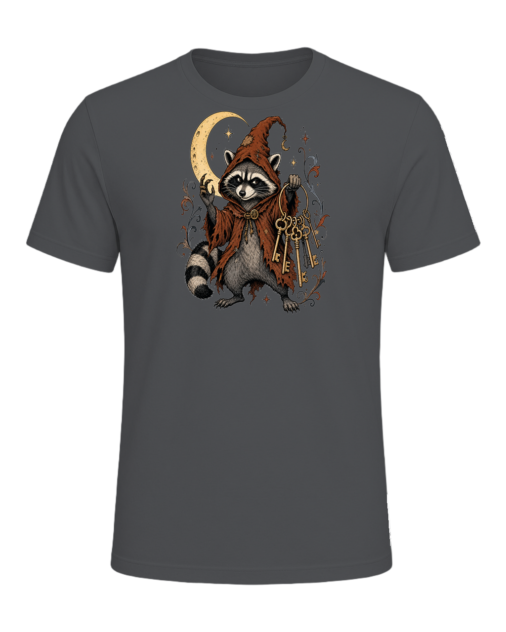 Raccoon Wizard Energy — Asphalt