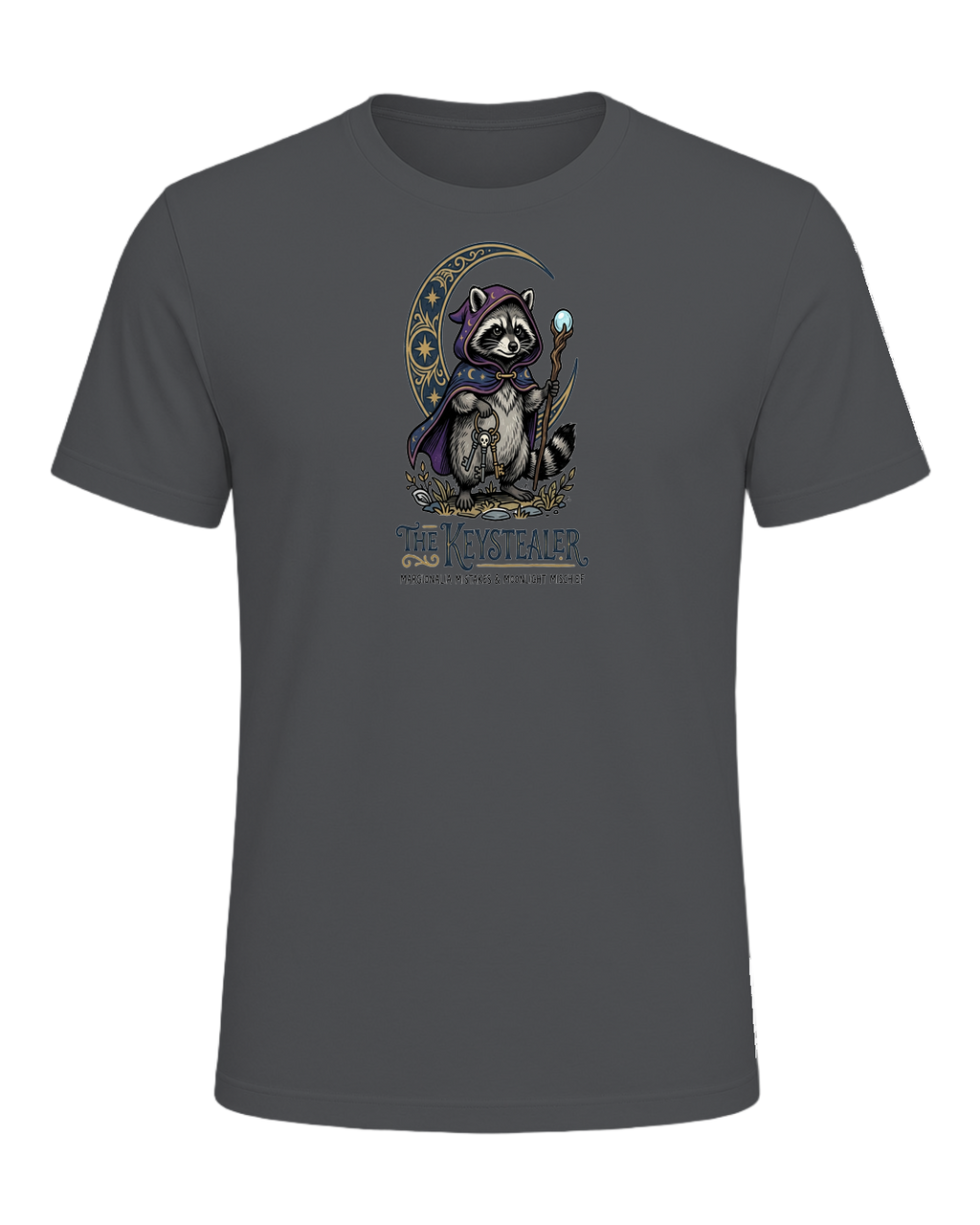 Raccoon Wizard Energy — Asphalt