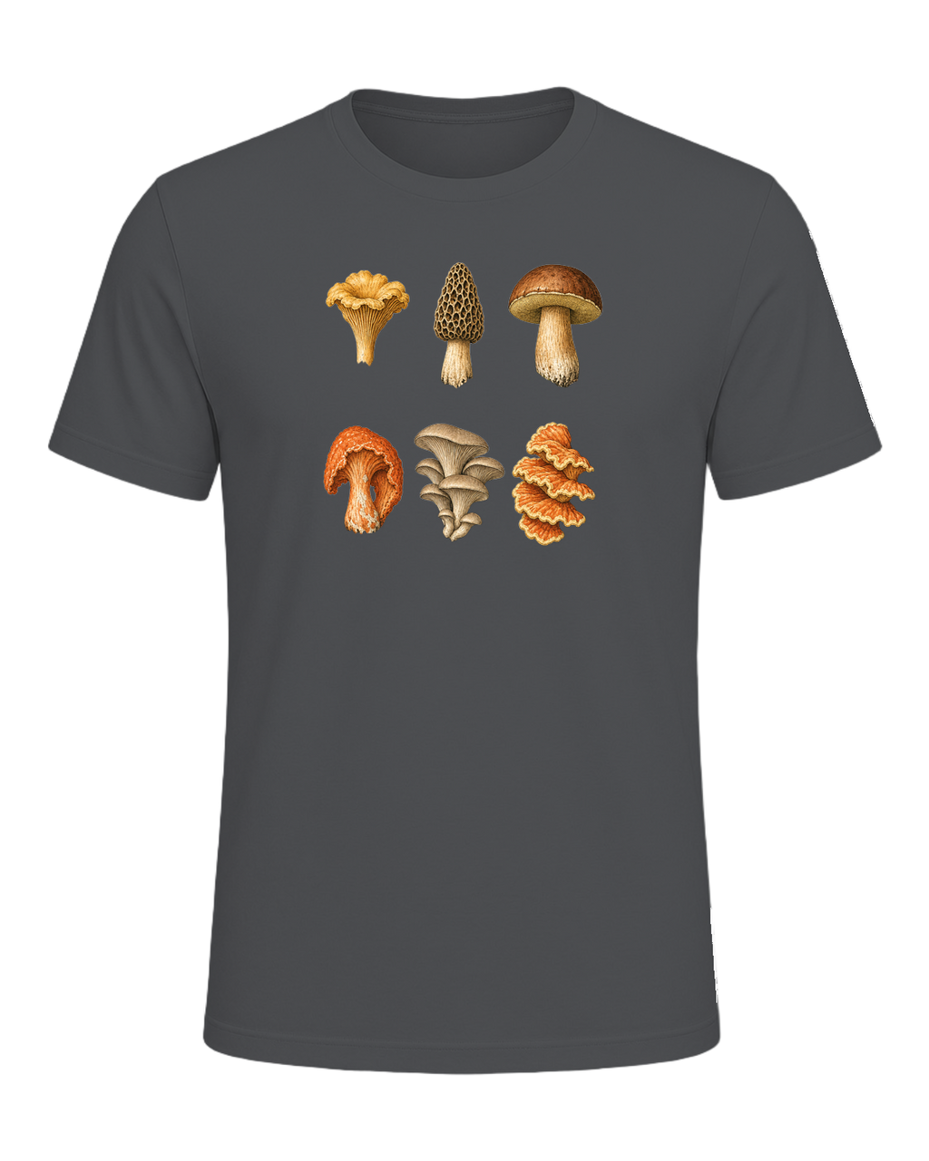 Foraging / Mushroom Hunter — Asphalt